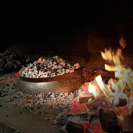 Seaside House In Wilderness Apartment Zastrazisce