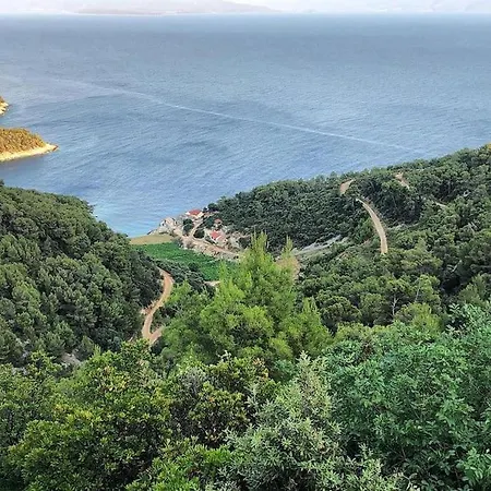 Seaside House In Wilderness Apartment Zastrazisce