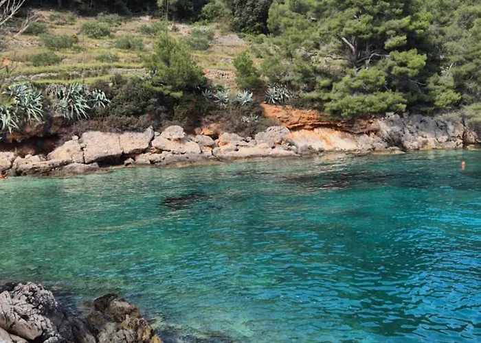 Seaside House In Wilderness Διαμέρισμα
